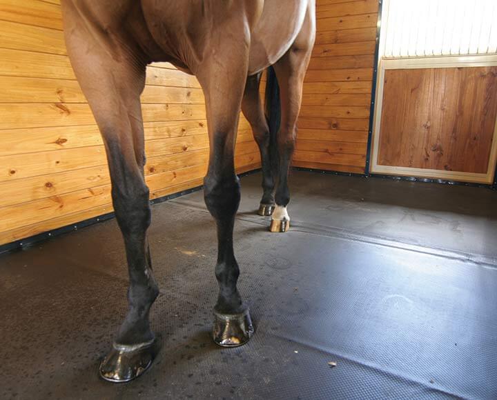 black horse stall mats providing comfort for horse