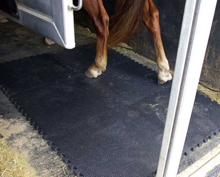 Interlocking horse mats used for horse comfort and cushion